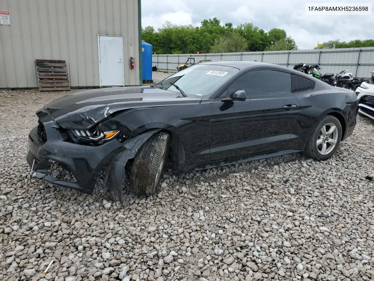 2017 Ford Mustang VIN: 1FA6P8AMXH5236598 Lot: 56242805