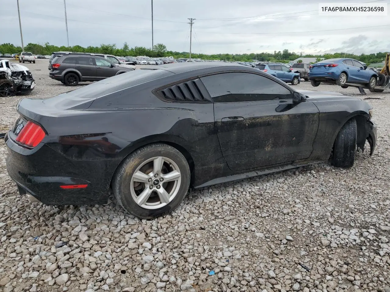2017 Ford Mustang VIN: 1FA6P8AMXH5236598 Lot: 56242805