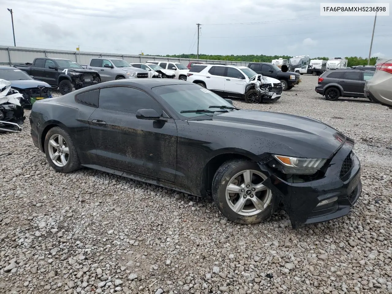 2017 Ford Mustang VIN: 1FA6P8AMXH5236598 Lot: 56242805
