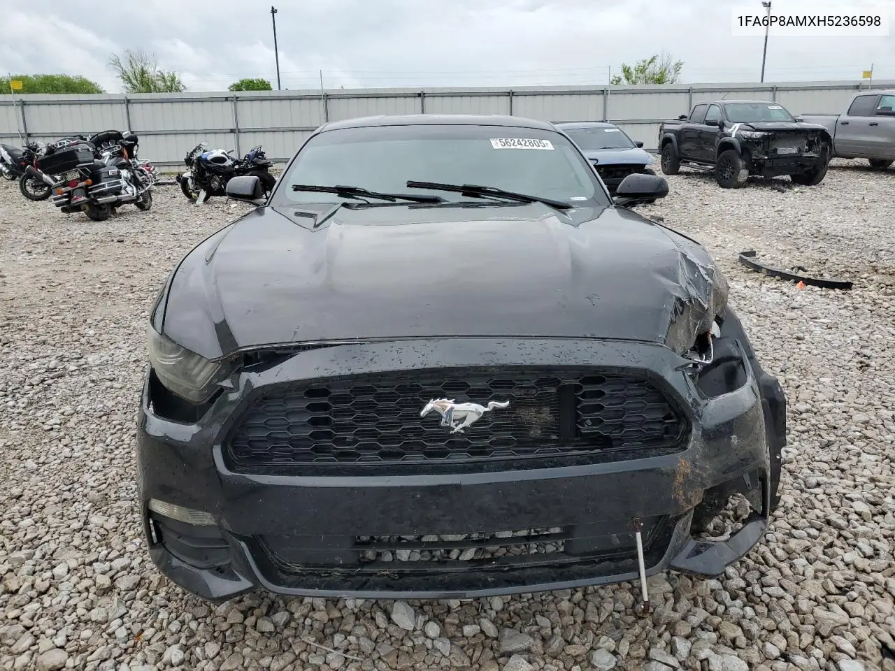 2017 Ford Mustang VIN: 1FA6P8AMXH5236598 Lot: 56242805