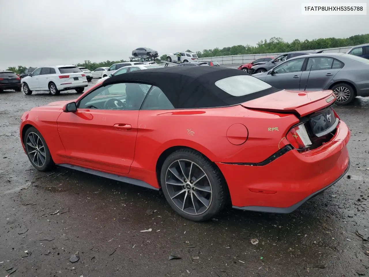 2017 Ford Mustang VIN: 1FATP8UHXH5356788 Lot: 56573865