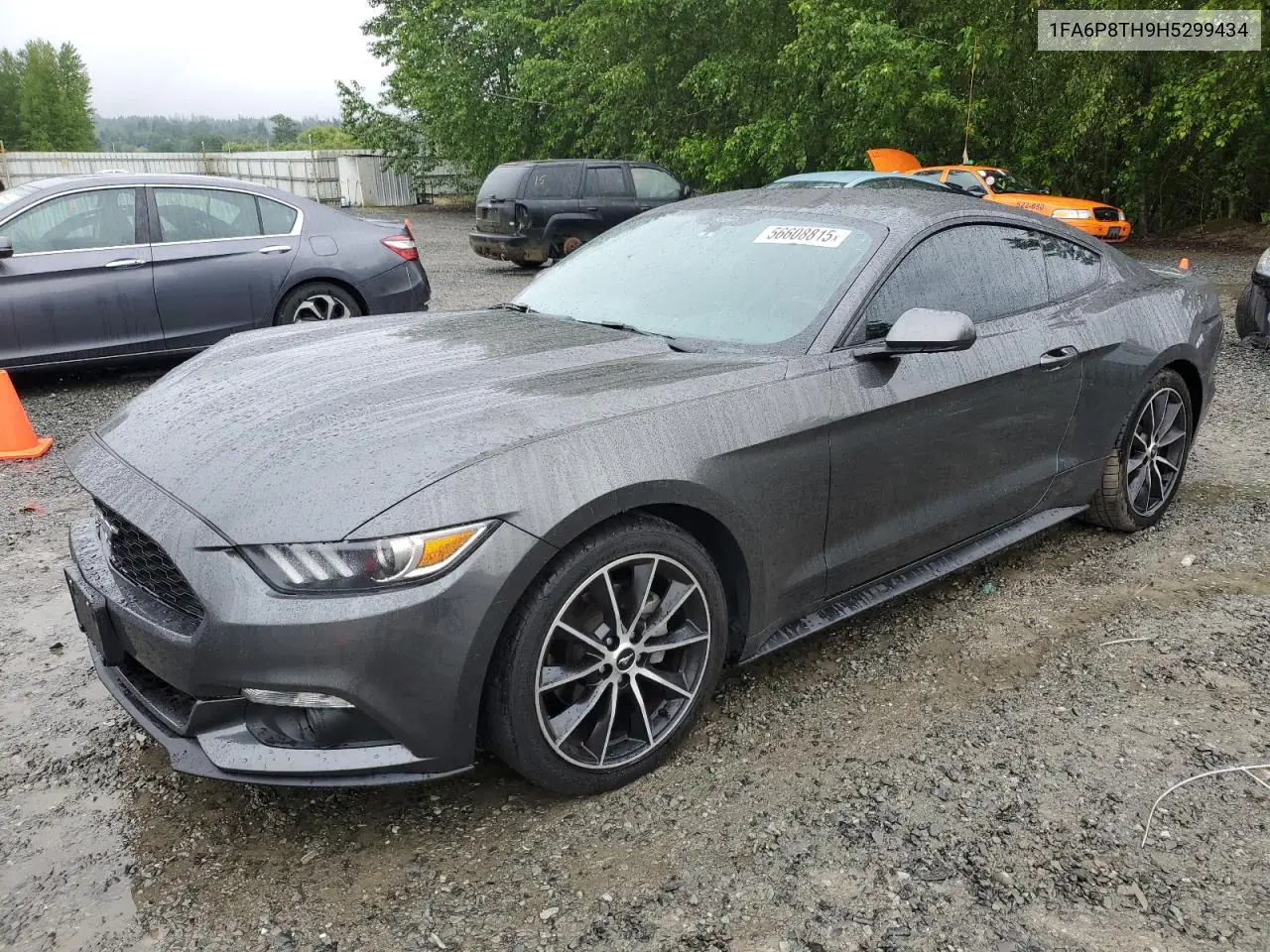 2017 Ford Mustang VIN: 1FA6P8TH9H5299434 Lot: 56608815