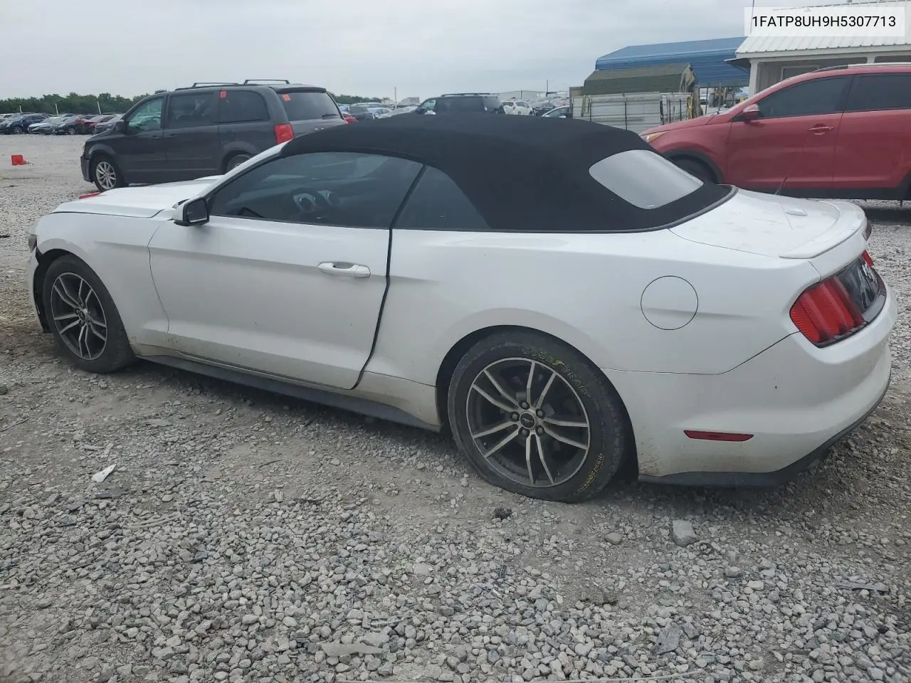 2017 Ford Mustang VIN: 1FATP8UH9H5307713 Lot: 62669855