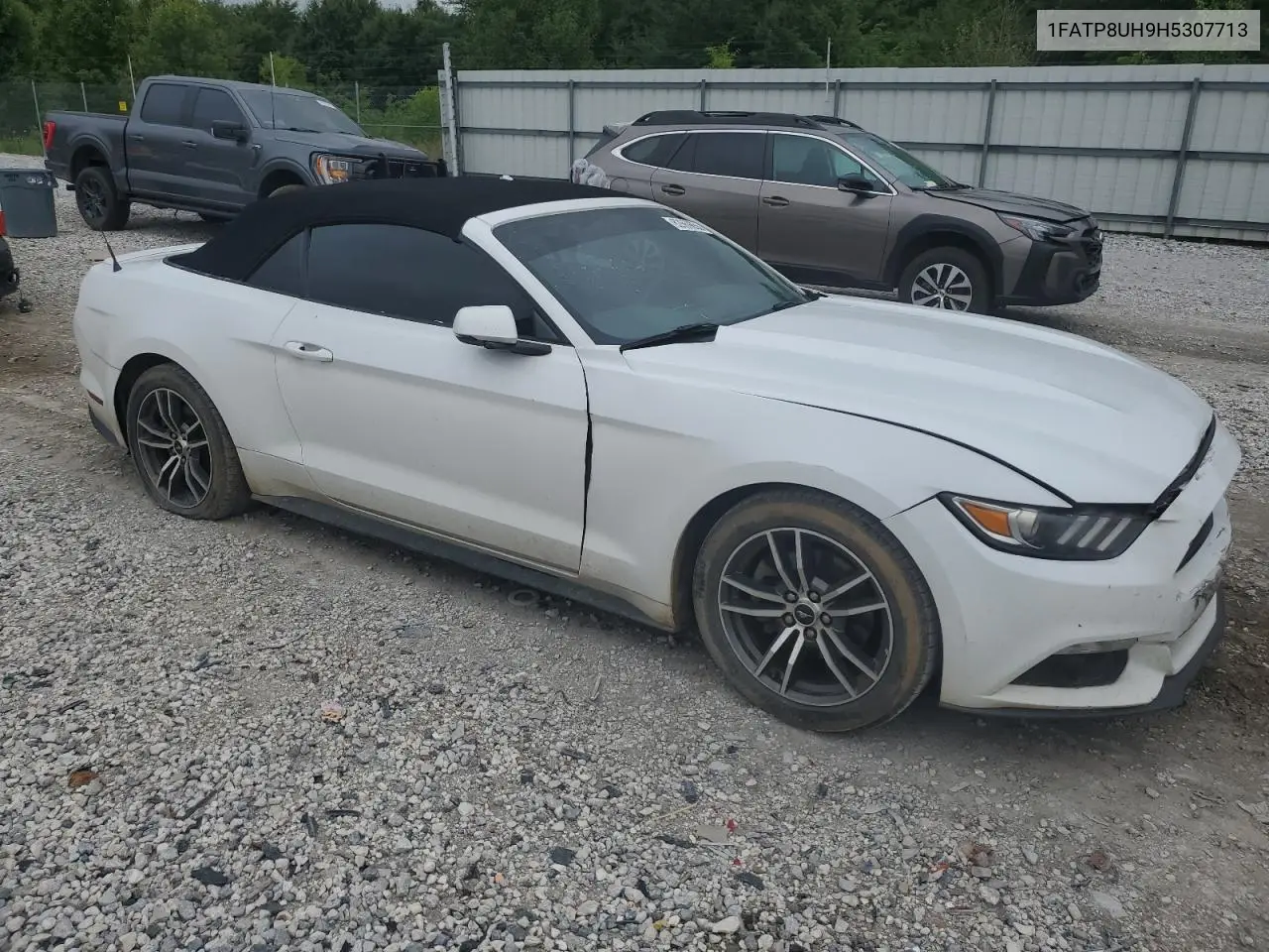 2017 Ford Mustang VIN: 1FATP8UH9H5307713 Lot: 62669855