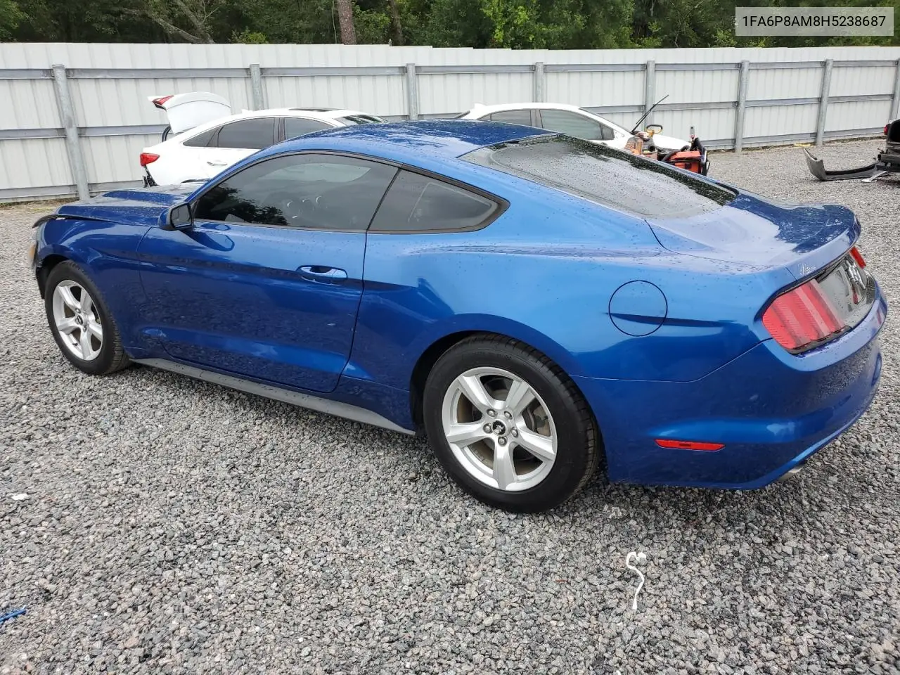 2017 Ford Mustang VIN: 1FA6P8AM8H5238687 Lot: 62846305