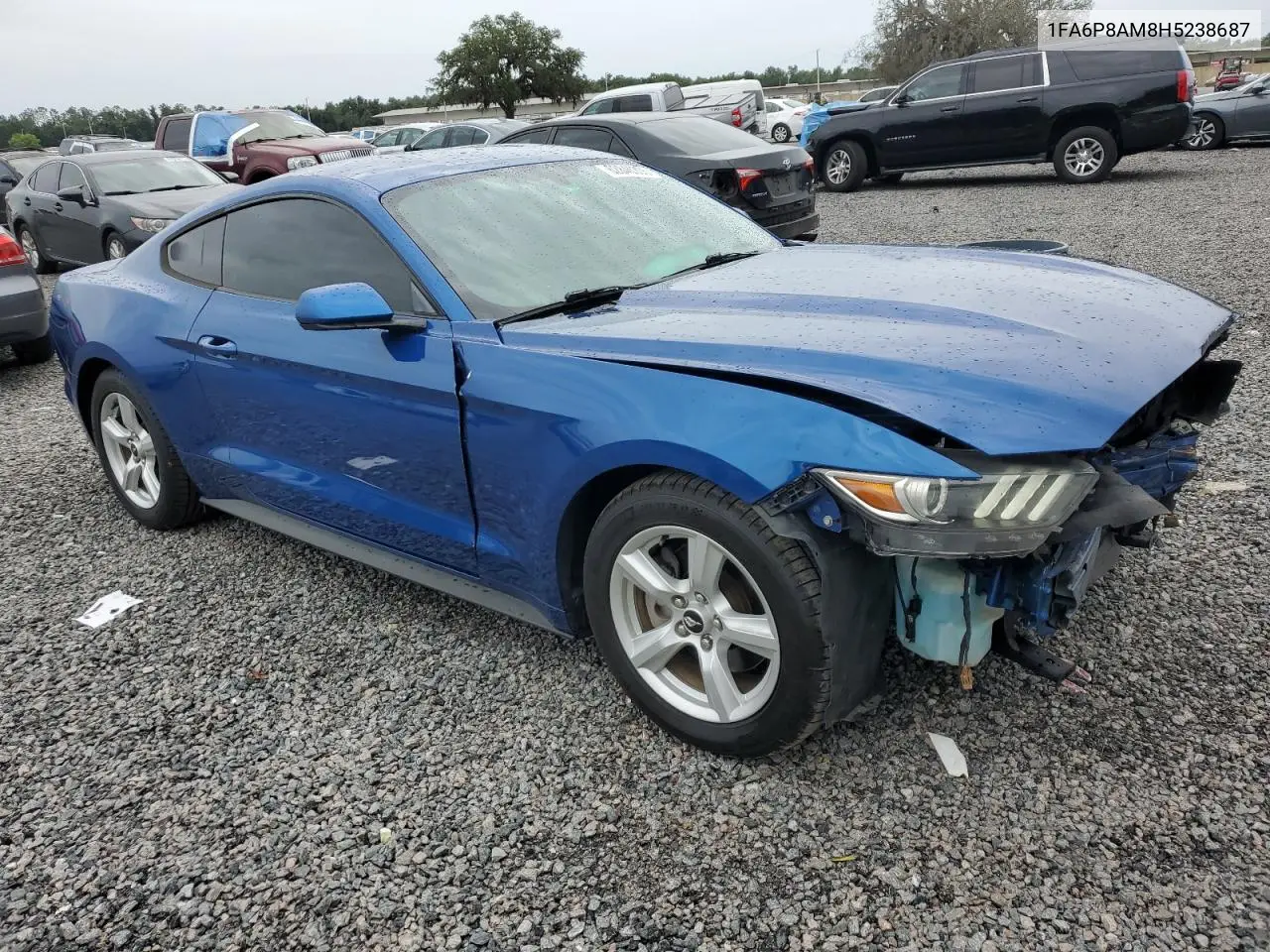 2017 Ford Mustang VIN: 1FA6P8AM8H5238687 Lot: 62846305