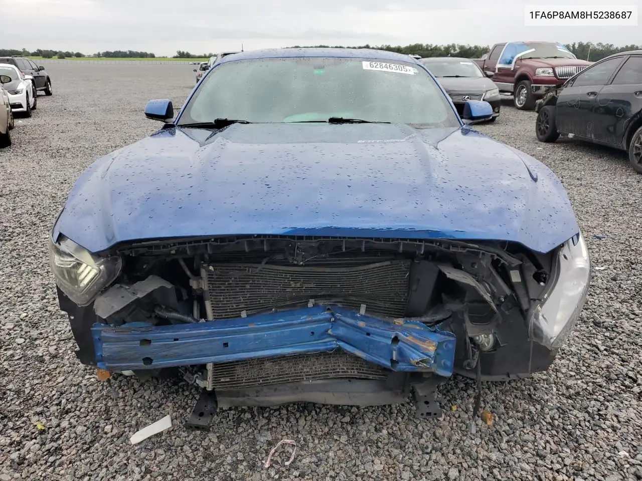 2017 Ford Mustang VIN: 1FA6P8AM8H5238687 Lot: 62846305