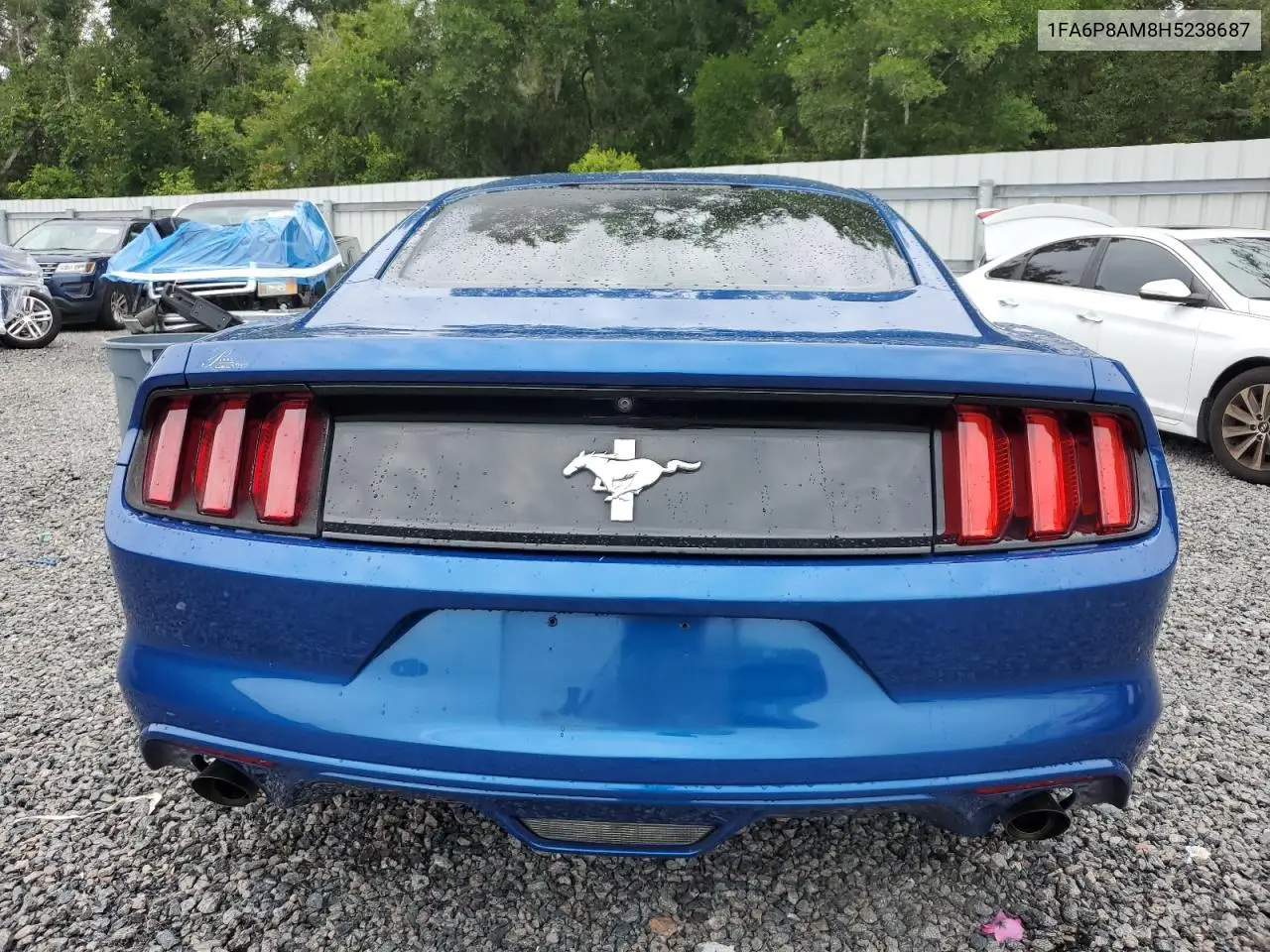 2017 Ford Mustang VIN: 1FA6P8AM8H5238687 Lot: 62846305