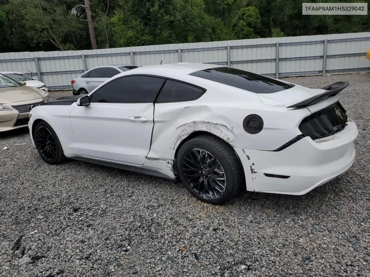 2017 Ford Mustang VIN: 1FA6P8AM1H5329042 Lot: 62997405