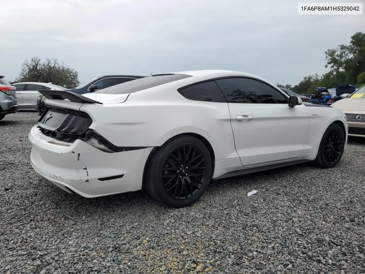 2017 Ford Mustang VIN: 1FA6P8AM1H5329042 Lot: 62997405