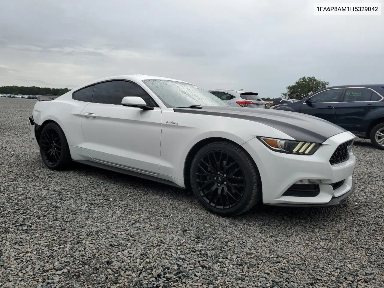 2017 Ford Mustang VIN: 1FA6P8AM1H5329042 Lot: 62997405