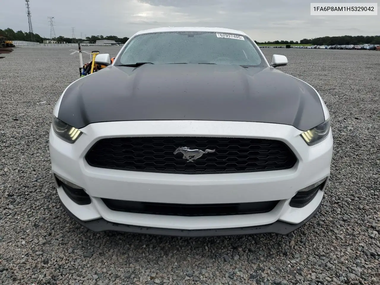 2017 Ford Mustang VIN: 1FA6P8AM1H5329042 Lot: 62997405