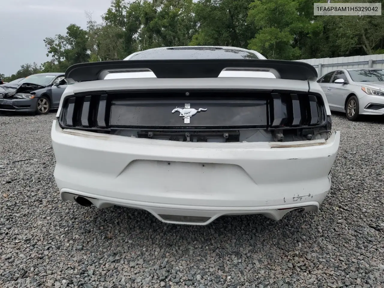 2017 Ford Mustang VIN: 1FA6P8AM1H5329042 Lot: 62997405