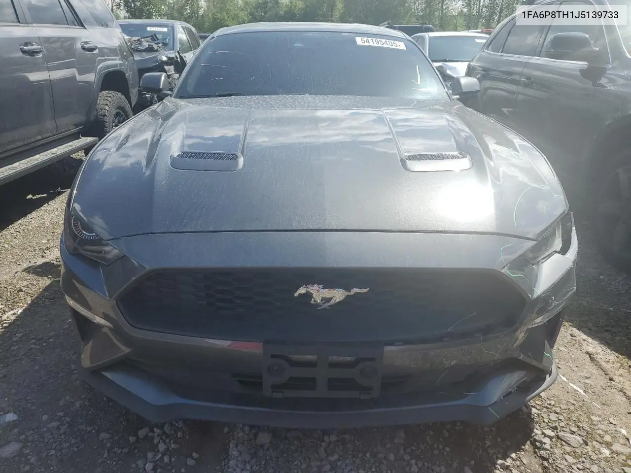 2018 Ford Mustang VIN: 1FA6P8TH1J5139733 Lot: 54195405