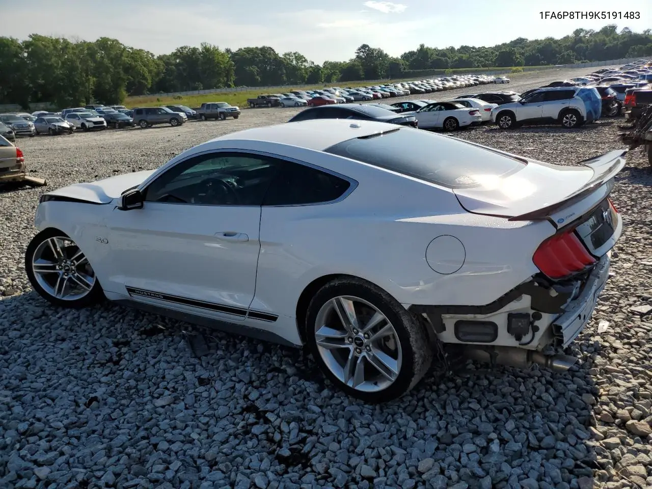 2019 Ford Mustang VIN: 1FA6P8TH9K5191483 Lot: 56334565