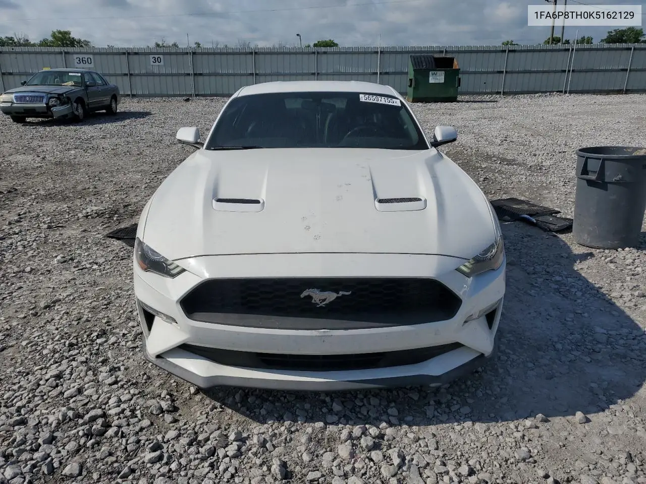 2019 Ford Mustang VIN: 1FA6P8TH0K5162129 Lot: 56597155