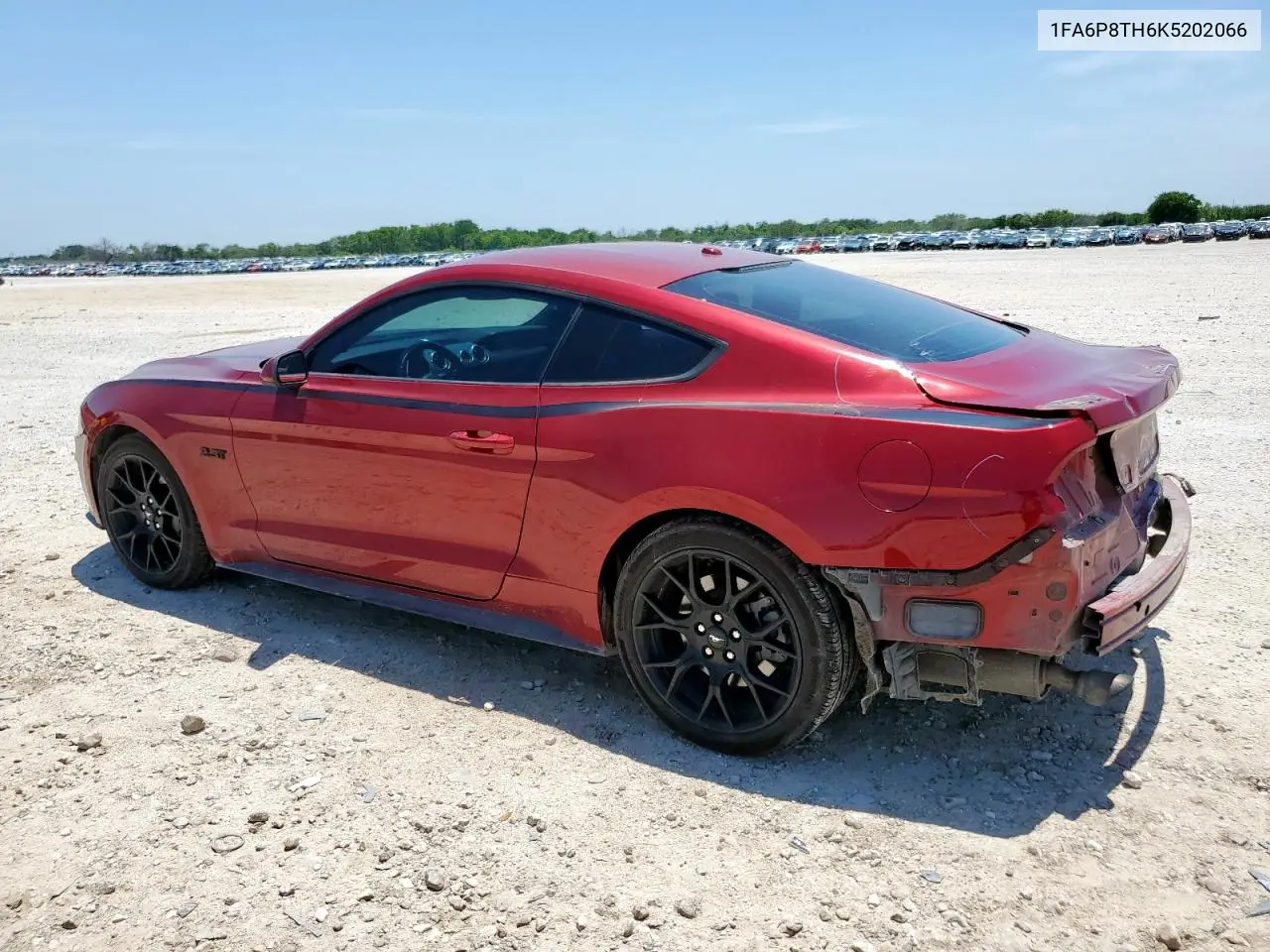2019 Ford Mustang VIN: 1FA6P8TH6K5202066 Lot: 57166205