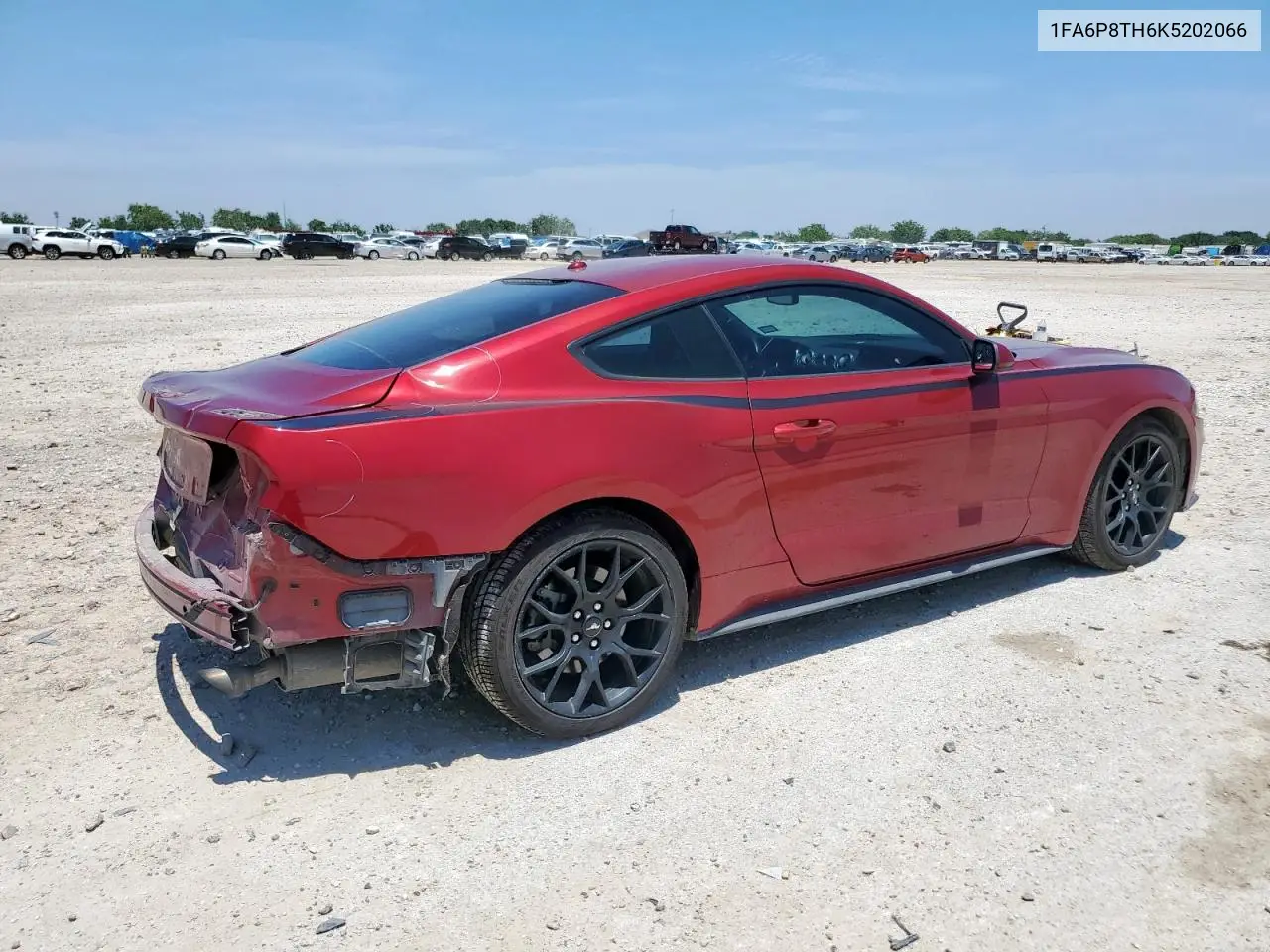 2019 Ford Mustang VIN: 1FA6P8TH6K5202066 Lot: 57166205