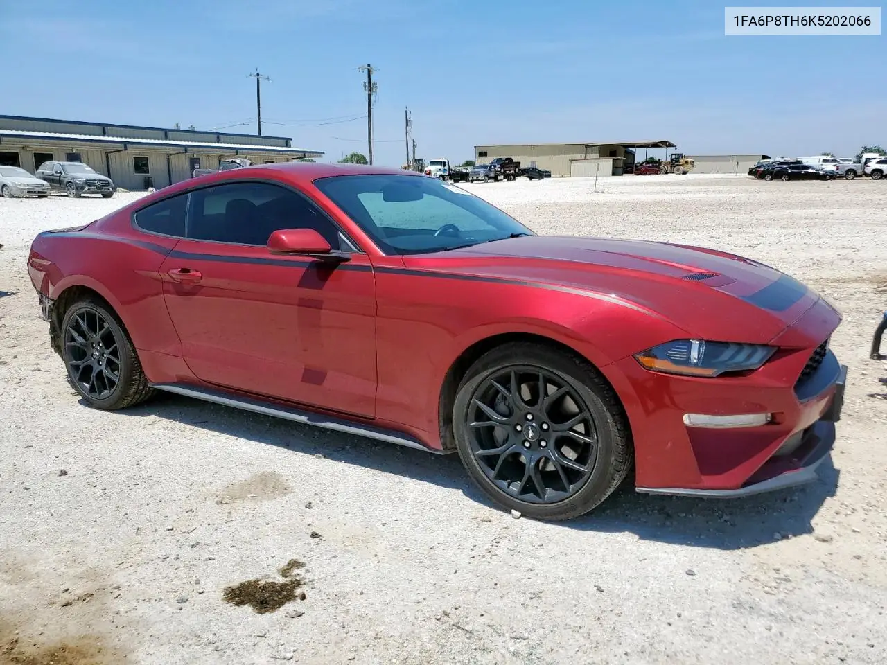 2019 Ford Mustang VIN: 1FA6P8TH6K5202066 Lot: 57166205
