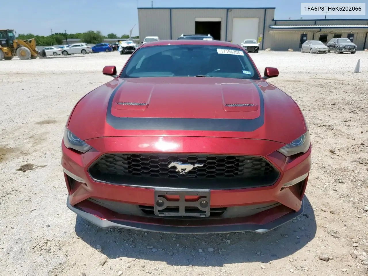 2019 Ford Mustang VIN: 1FA6P8TH6K5202066 Lot: 57166205