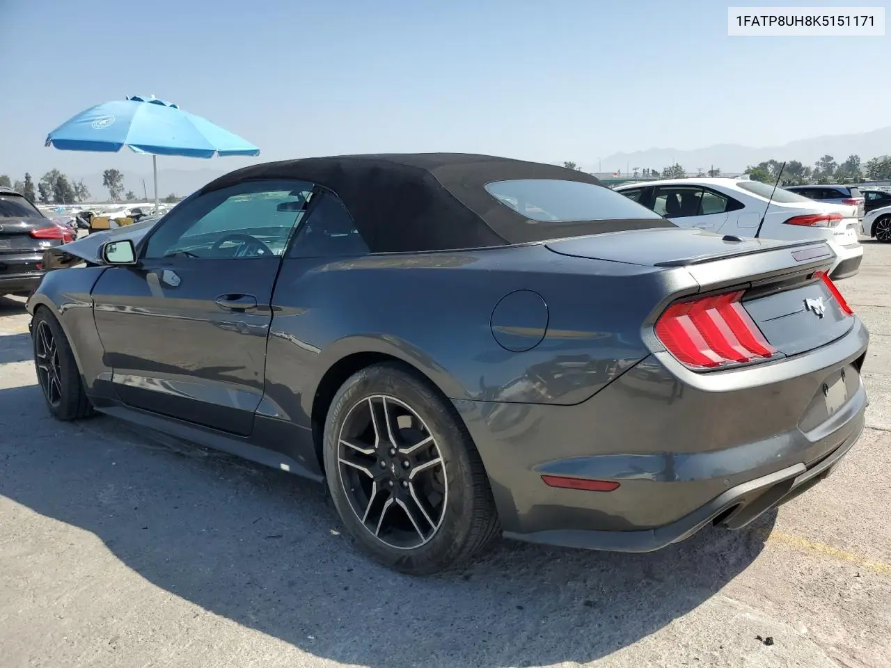 2019 Ford Mustang VIN: 1FATP8UH8K5151171 Lot: 62424685