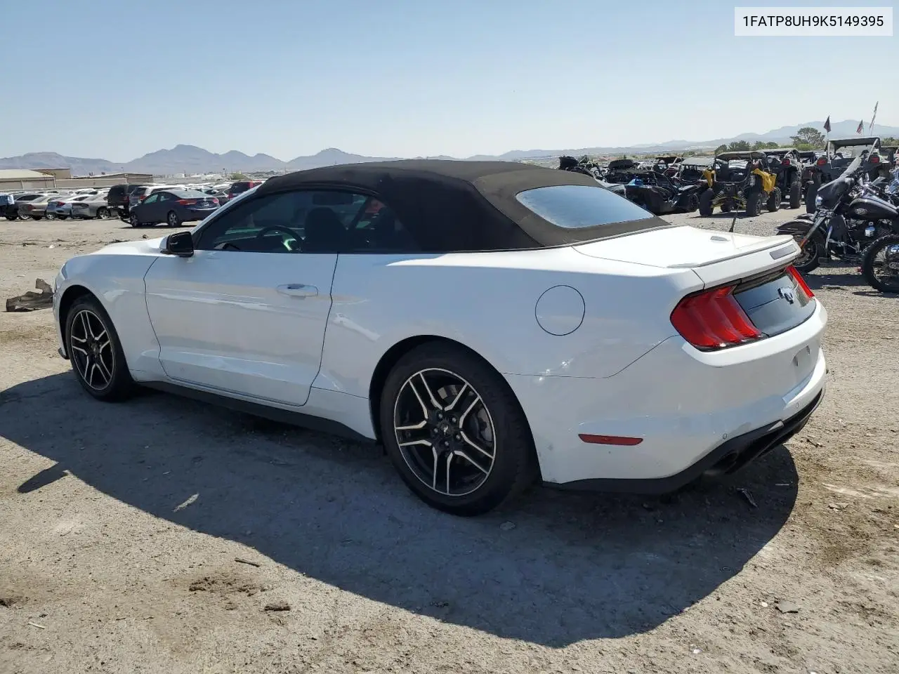 2019 Ford Mustang VIN: 1FATP8UH9K5149395 Lot: 62725465
