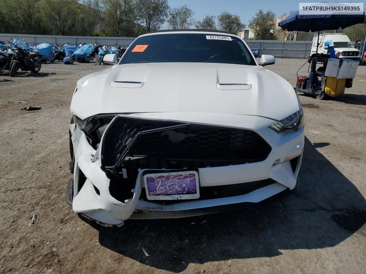 2019 Ford Mustang VIN: 1FATP8UH9K5149395 Lot: 62725465