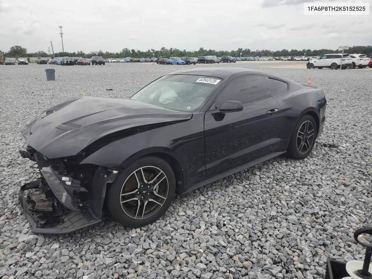 2019 Ford Mustang VIN: 1FA6P8TH2K5152525 Lot: 62843125