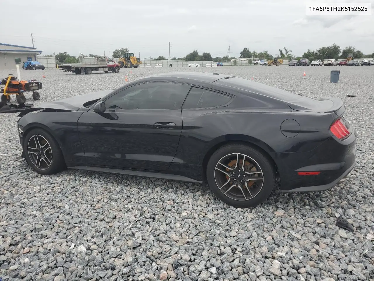 2019 Ford Mustang VIN: 1FA6P8TH2K5152525 Lot: 62843125