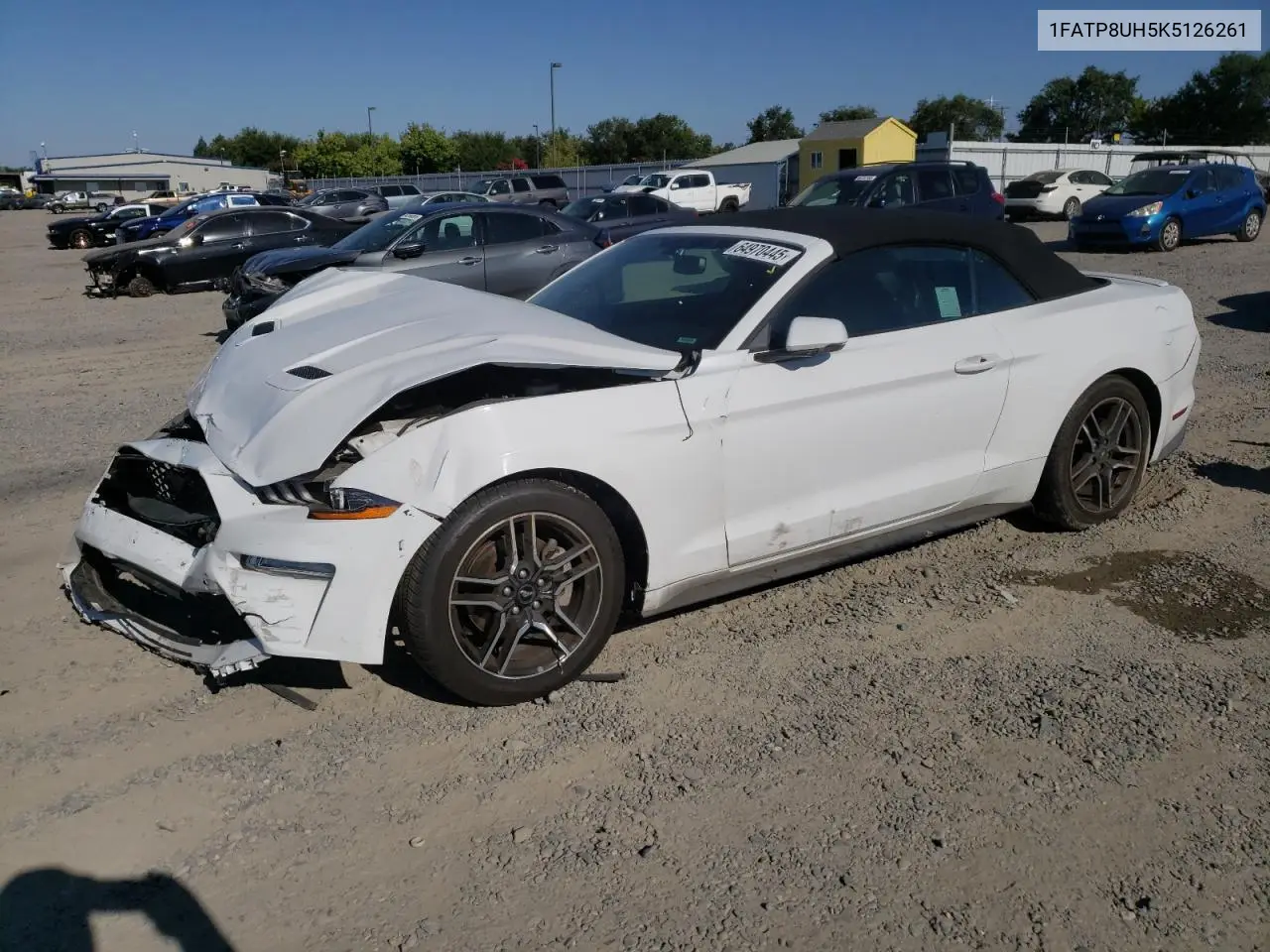 2019 Ford Mustang VIN: 1FATP8UH5K5126261 Lot: 64970445