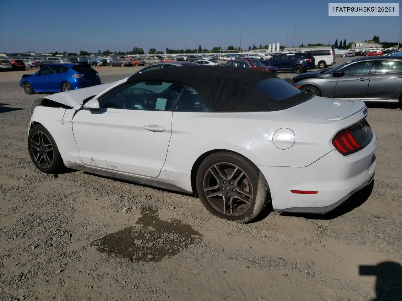 2019 Ford Mustang VIN: 1FATP8UH5K5126261 Lot: 64970445