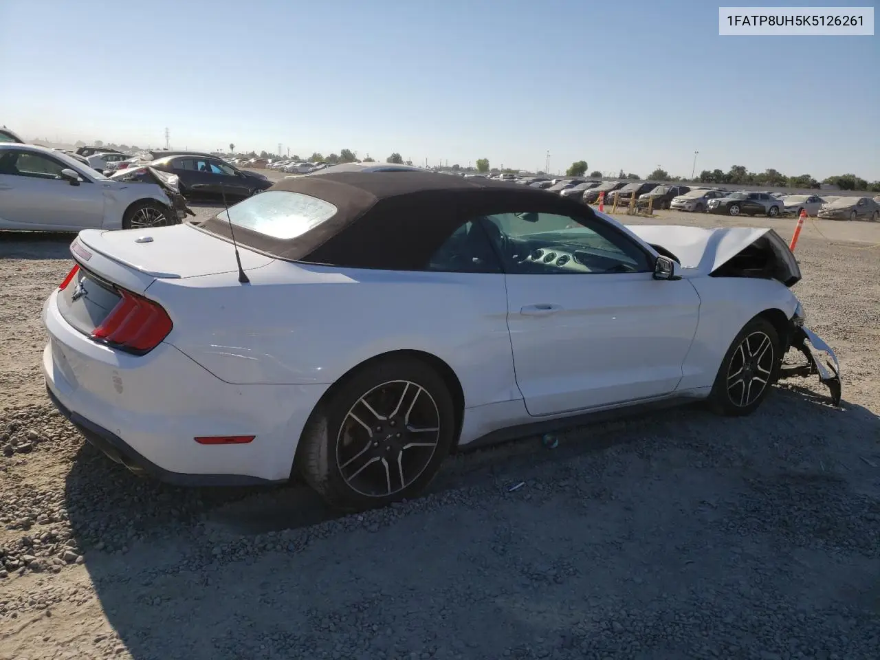 2019 Ford Mustang VIN: 1FATP8UH5K5126261 Lot: 64970445