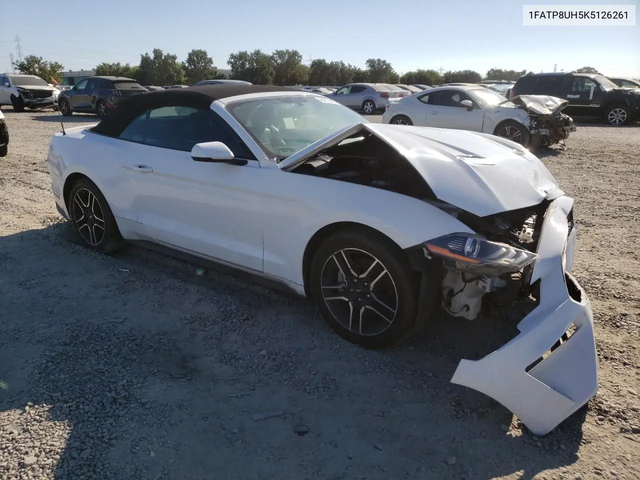2019 Ford Mustang VIN: 1FATP8UH5K5126261 Lot: 64970445