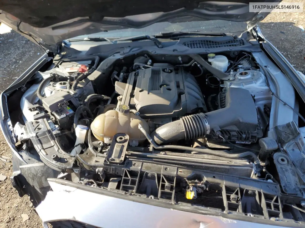 2020 Ford Mustang VIN: 1FATP8UH5L5146916 Lot: 52550215