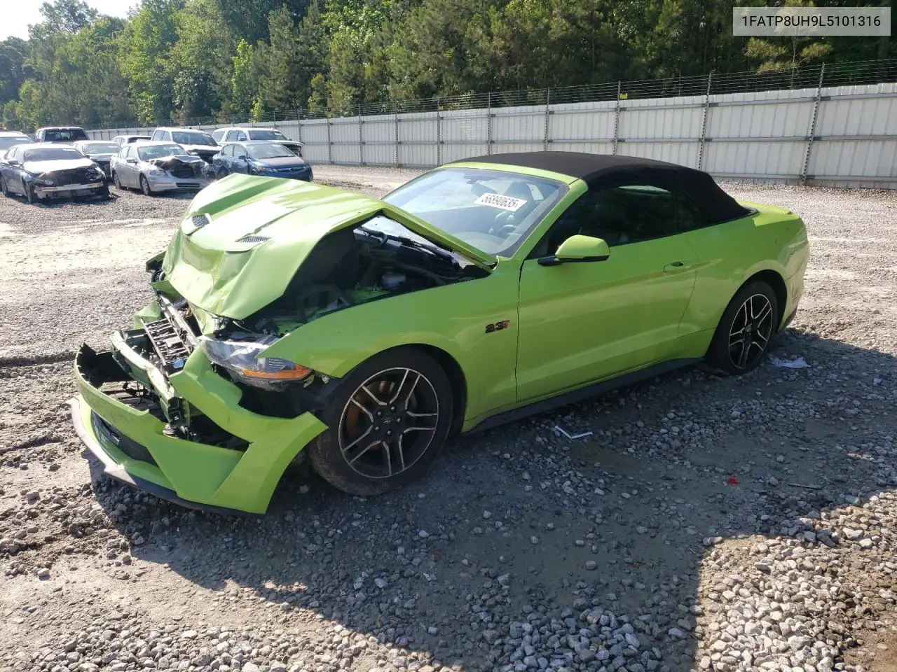 2020 Ford Mustang VIN: 1FATP8UH9L5101316 Lot: 56890635