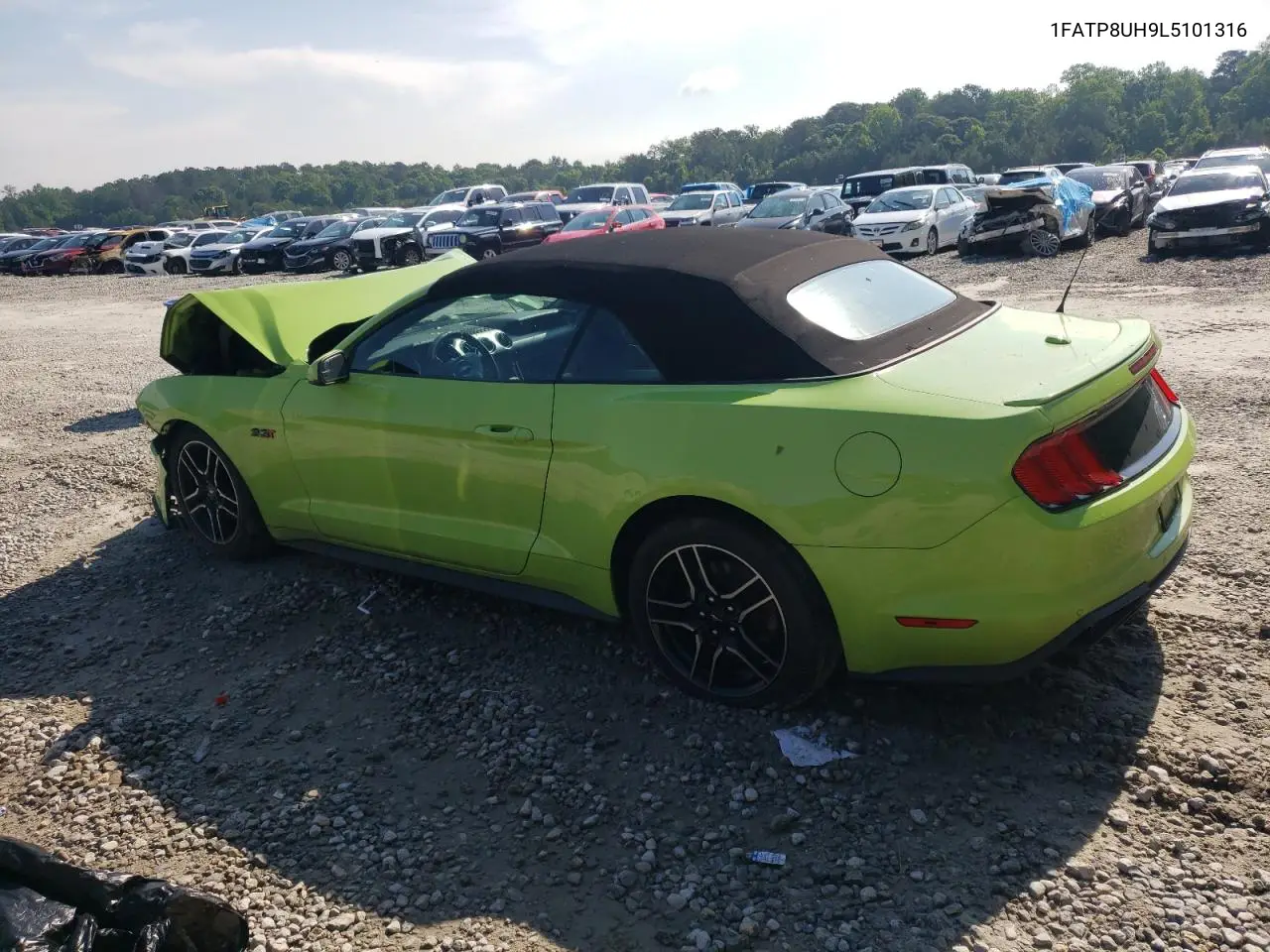 2020 Ford Mustang VIN: 1FATP8UH9L5101316 Lot: 56890635