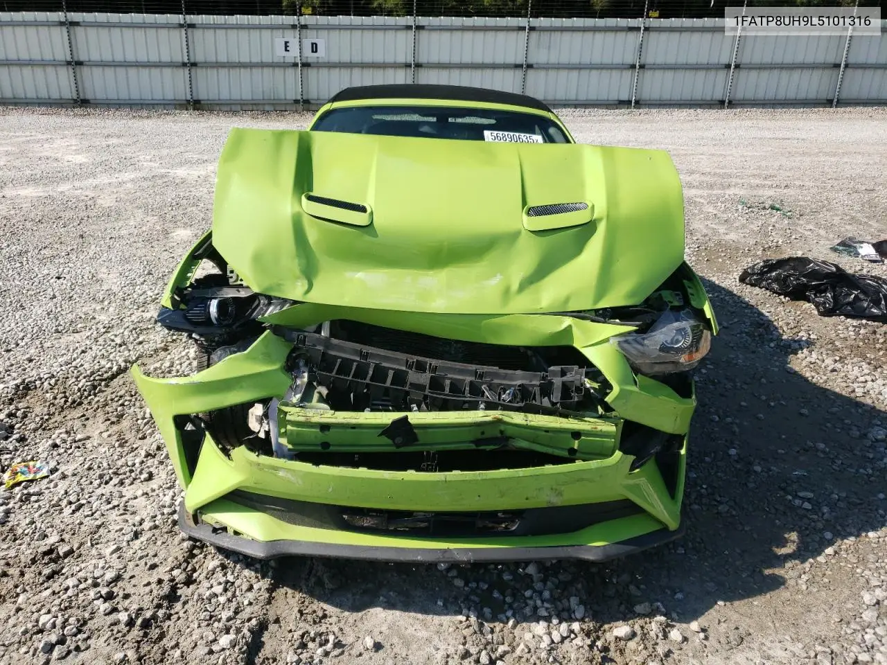2020 Ford Mustang VIN: 1FATP8UH9L5101316 Lot: 56890635
