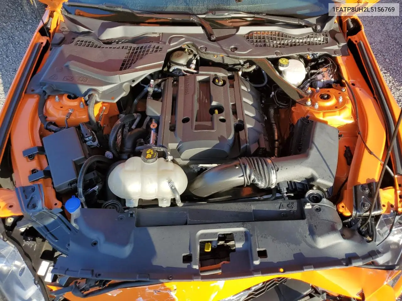 2020 Ford Mustang VIN: 1FATP8UH2L5156769 Lot: 65024925