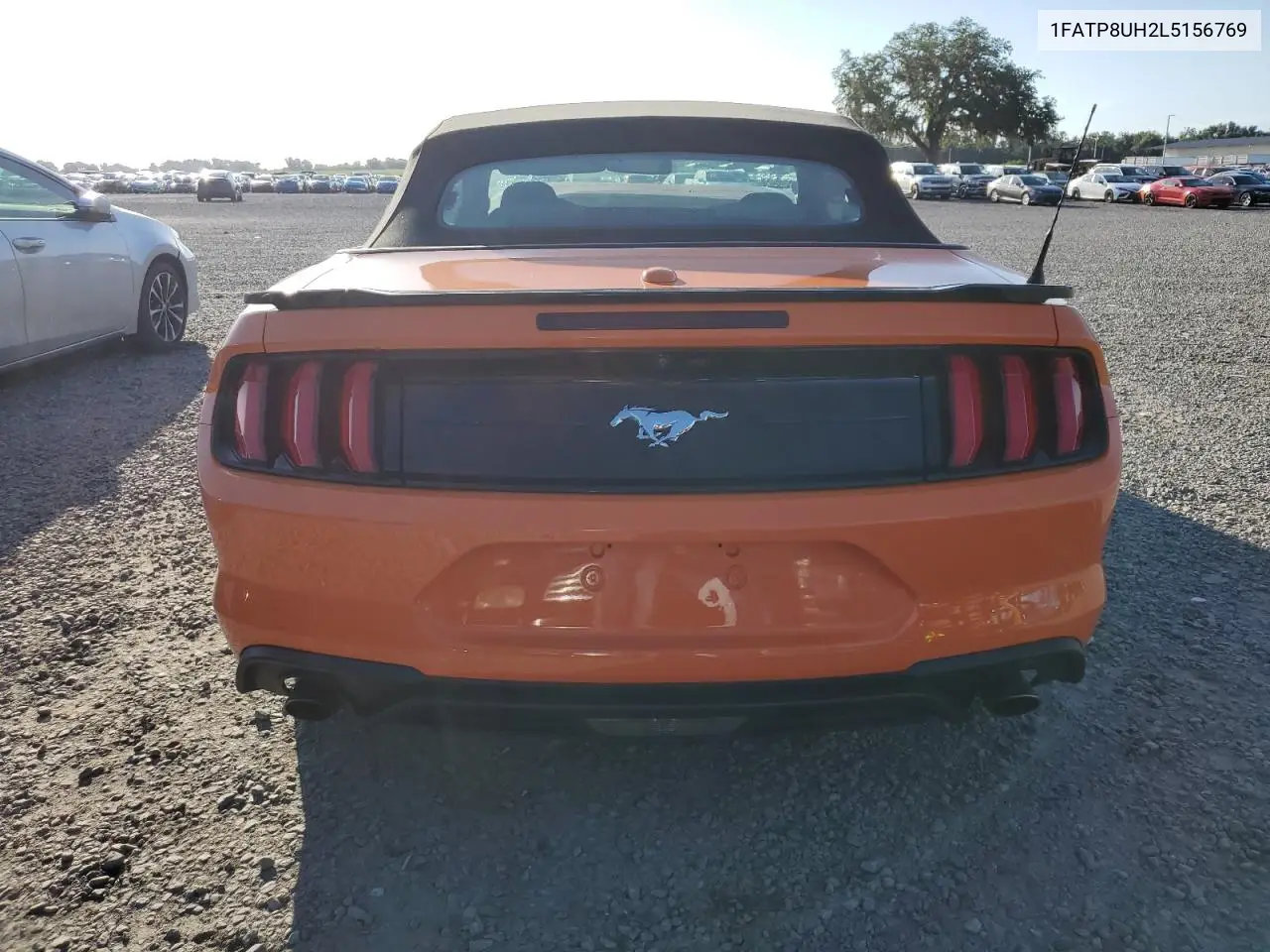 2020 Ford Mustang VIN: 1FATP8UH2L5156769 Lot: 65024925