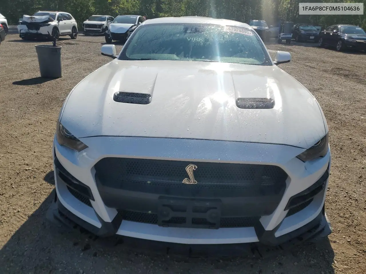 2021 Ford Mustang Gt VIN: 1FA6P8CF0M5104636 Lot: 62929895
