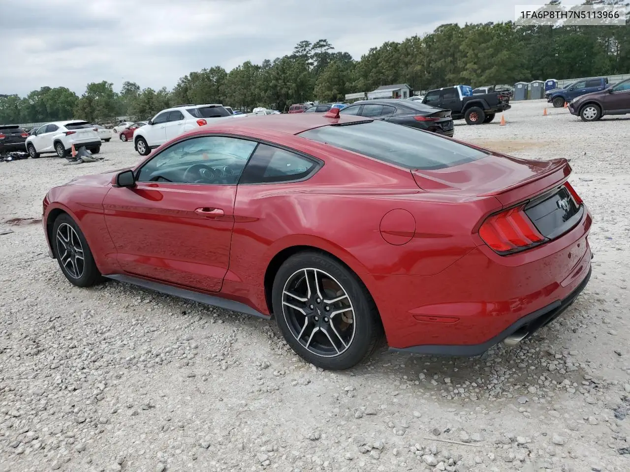 2022 Ford Mustang VIN: 1FA6P8TH7N5113966 Lot: 53068705