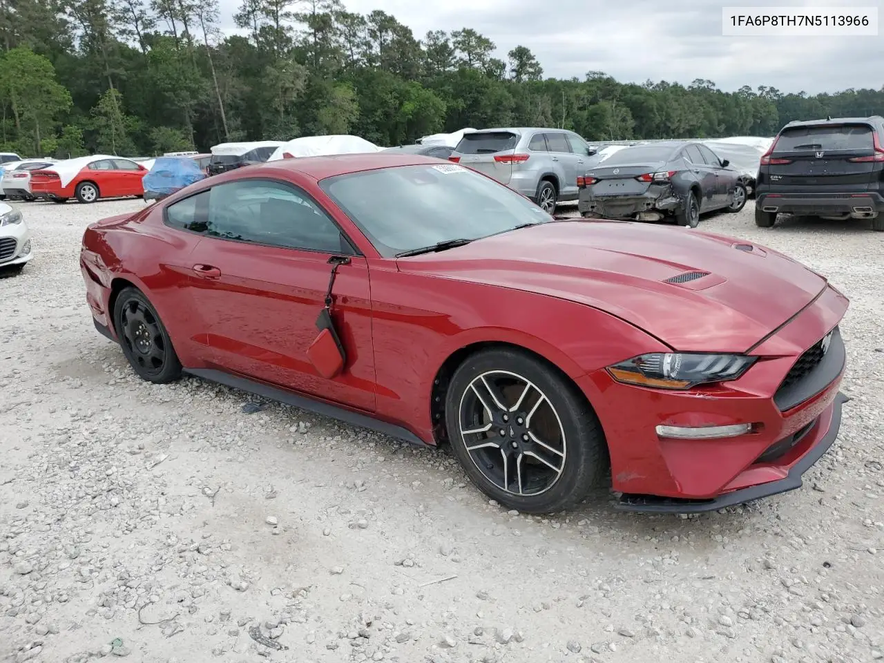 2022 Ford Mustang VIN: 1FA6P8TH7N5113966 Lot: 53068705