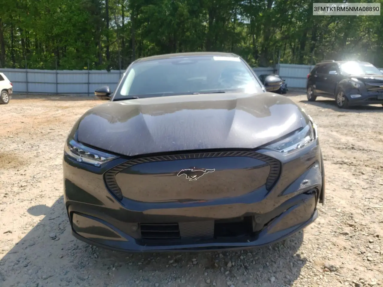 2022 Ford Mustang Mach-E Select VIN: 3FMTK1RM5NMA08890 Lot: 53342915