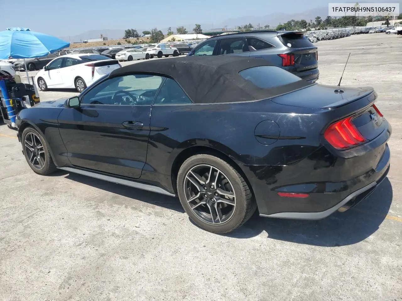 2022 Ford Mustang VIN: 1FATP8UH9N5106437 Lot: 64449185