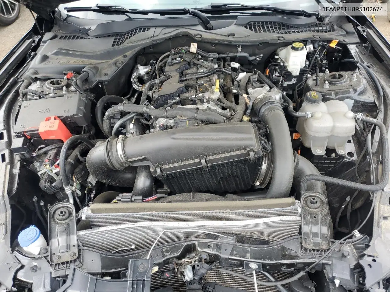 1FA6P8TH8R5102674 2024 Ford Mustang