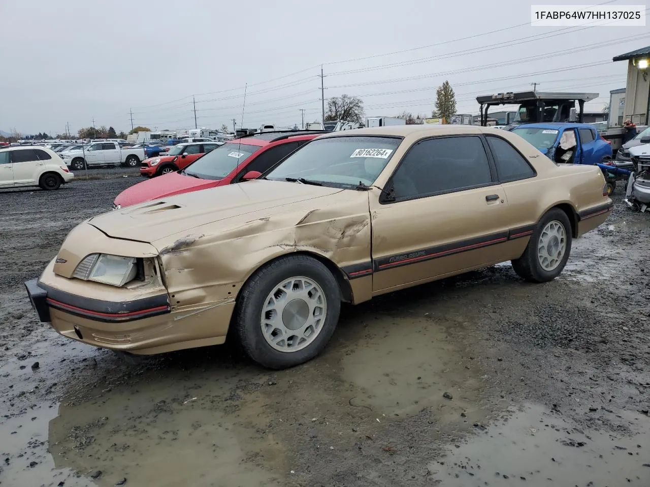 1987 Ford Thunderbird VIN: 1FABP64W7HH137025 Lot: 80162264