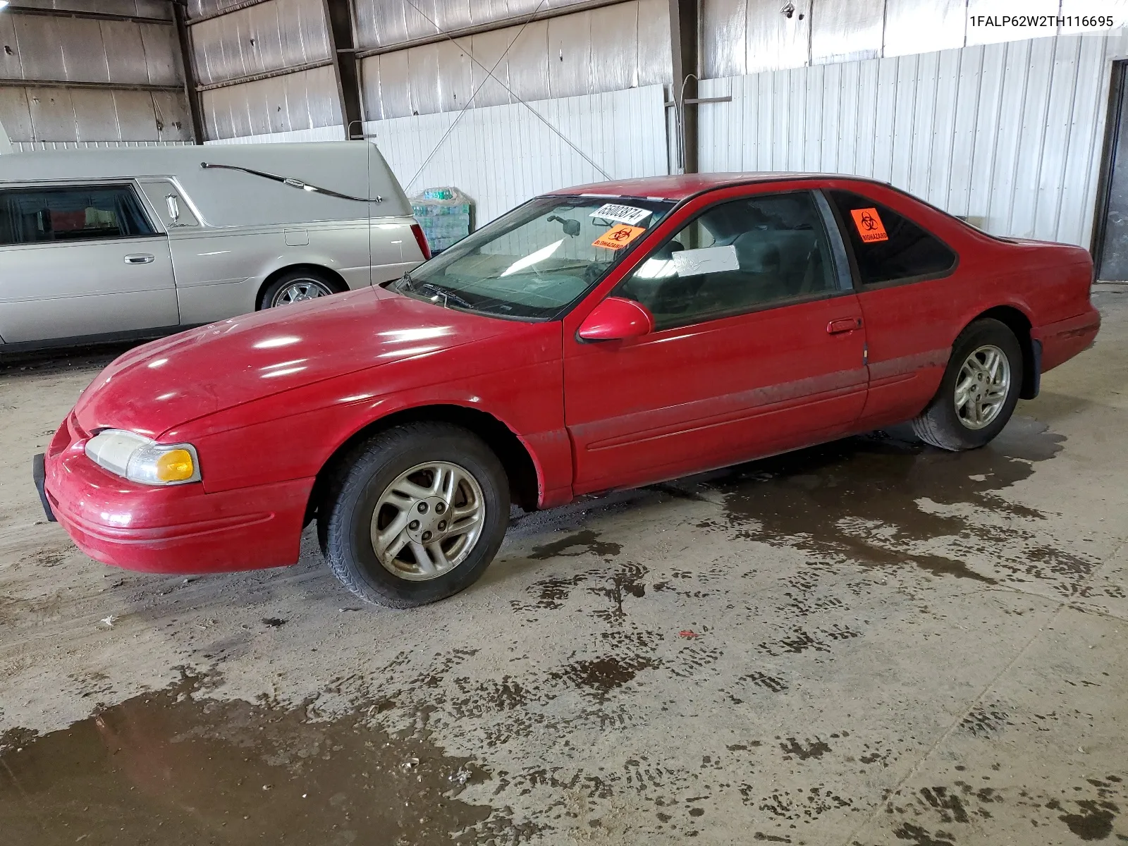 1996 Ford Thunderbird Lx VIN: 1FALP62W2TH116695 Lot: 65003874