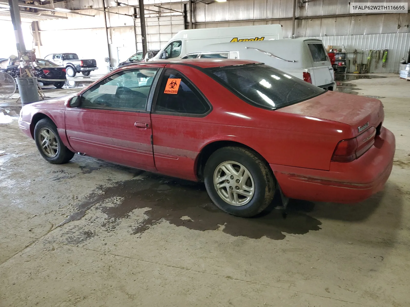 1996 Ford Thunderbird Lx VIN: 1FALP62W2TH116695 Lot: 65003874