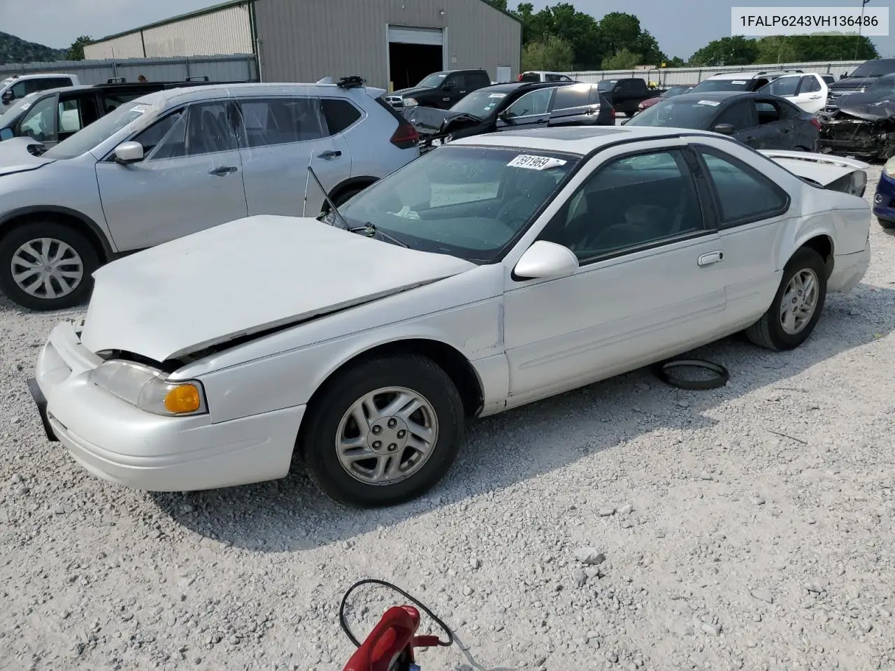 1997 Ford Thunderbird Lx VIN: 1FALP6243VH136486 Lot: 59196915