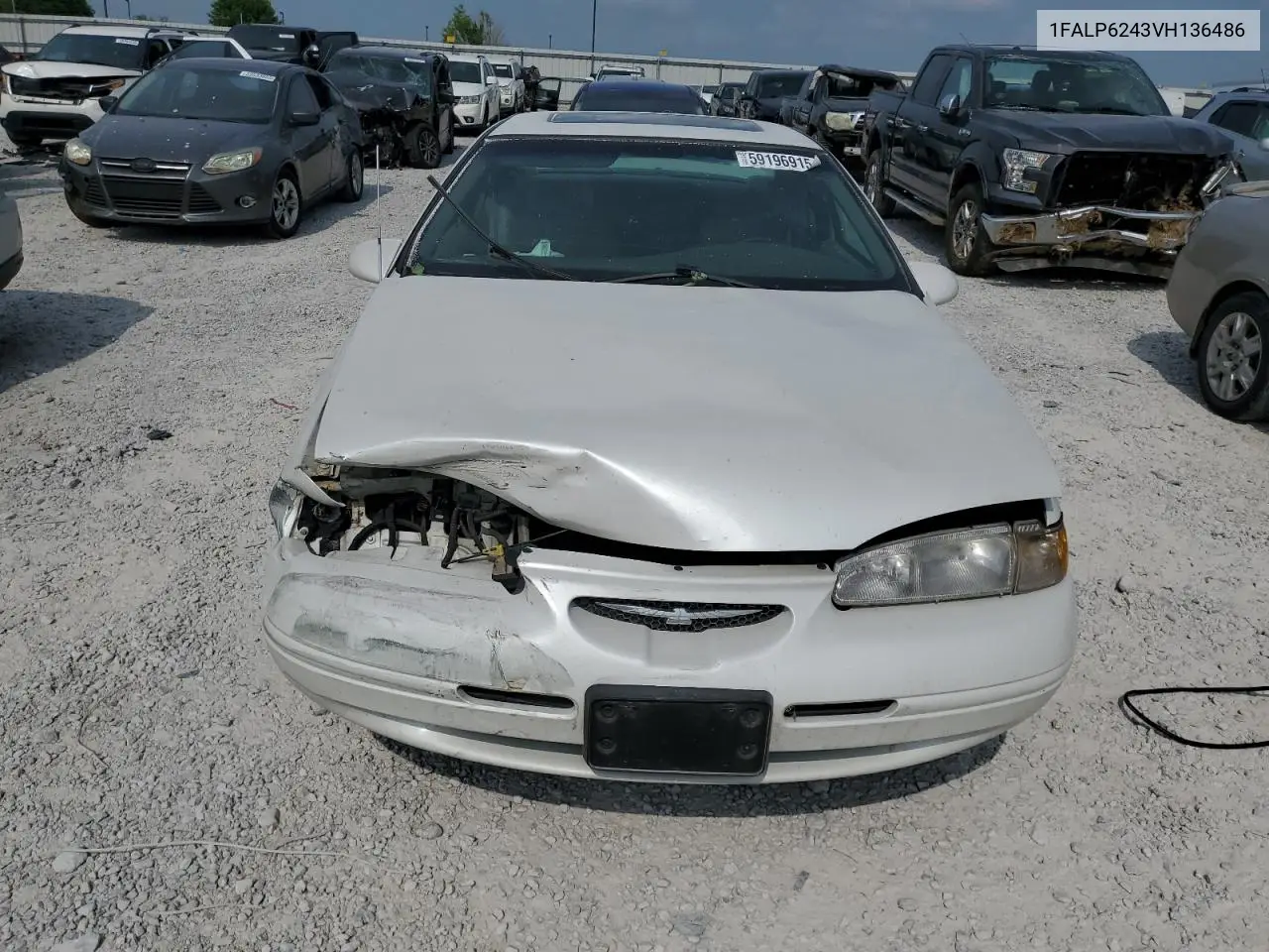 1997 Ford Thunderbird Lx VIN: 1FALP6243VH136486 Lot: 59196915